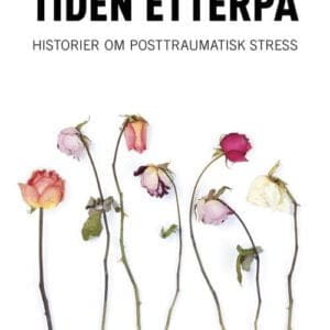 Tiden etterpå. Historier om posttraumatisk stress