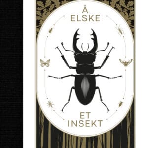 Å elske et insekt. Hva skjer når insektene forsvinner?