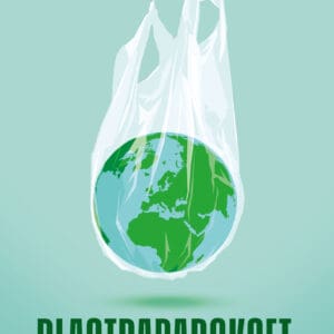 Plastparadokset (e-bok)